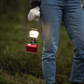 PRIMUS EasyLight Gas Lantern – 490 Lumens Powerful Camping Lantern, Piezo Ignition Adjustable Brightness, Compact Backpacking Light with Glass Globe & Carry Case